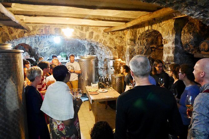 Organic Wine Tasting, Mozzarella, Gnocchi & Tiramisu Workshop - Who Will Love This Tour?