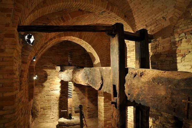 Organic Wine Tasting & tasting of EVO CantinArte OIL MUSEUM - Is This Tour Worth It?