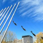 Oslo City Walks - The City of Contrasts - Value for Money