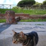 Ostia Antica archeological park with Italian GELATO - The Details That Matter