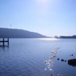 Overnight Lake District with Cream Tea and Cruise from London - What the Reviews Reveal