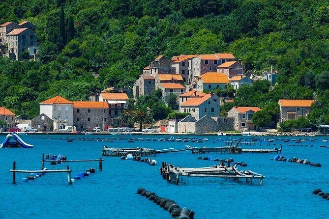 Oyster farm experience private day trip from Dubrovnik - The Real Talk: Pros and Cons