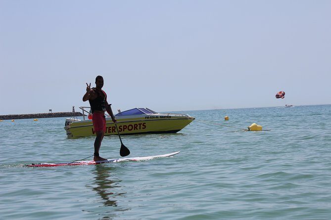 Paddle: SUP in Albufeira - Pricing and Value