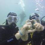 PADI Open Water Diver Course - What You’ll Experience During the Dives