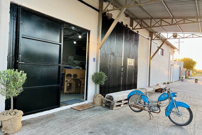 Pallada Semi-Private Olive Oil Tours in Sternes, Chania - The Real Value of the Tour