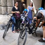Palladian E-Bike Rental in & around Vicenza - Who Should Consider This Experience?