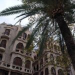 Palma de Mallorca Historical Walking Tour - Why You Might Like This Tour