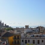 Palma de Mallorca Shore Excursion Bike Tour (Transfer Included) - Considerations and Possible Drawbacks