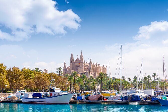 Palma de Mallorca Sightseeing Day Tour - Who Will Enjoy This Tour?