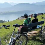 Panoramic E-Bike Tour with a Lake Cruise - Who Should Consider This Tour?