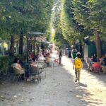 Paris Orsay Museum and Rodin Museum Combo Ticket - Who is This Tour Best For?