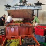 Paris Wine Day Tours exclusive Champagne tour incl. 3 visits - Authentic Feedback from Travelers