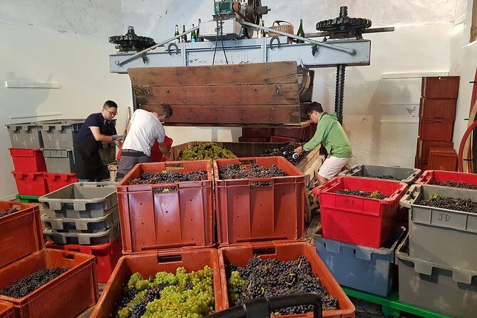 Paris Wine Day Tours exclusive Champagne tour incl. 3 visits - Authentic Feedback from Travelers