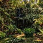 Park and Palace of Monserrate - The Sum Up