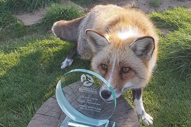 Park Entry for a Family of 4 (2 adults and 2 children) - What the Reviews Say