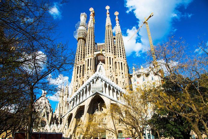 Park Güell and Sagrada Familia Private Tour - What Travelers Are Saying