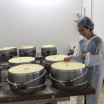 Parmigiano Reggiano & Aceto Balsamico Tradizionale - Who Will Love This Tour?