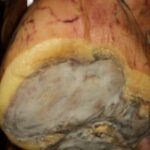 Parmigiano Reggiano and Parma ham tour - A Deep Dive into the Parma Food Tour