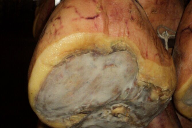 Parmigiano Reggiano and Parma ham tour - A Deep Dive into the Parma Food Tour
