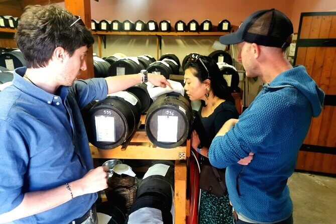 Parmigiano Wine and Balsamic Vinegar Experience from Bologna - What Do Travelers Say?