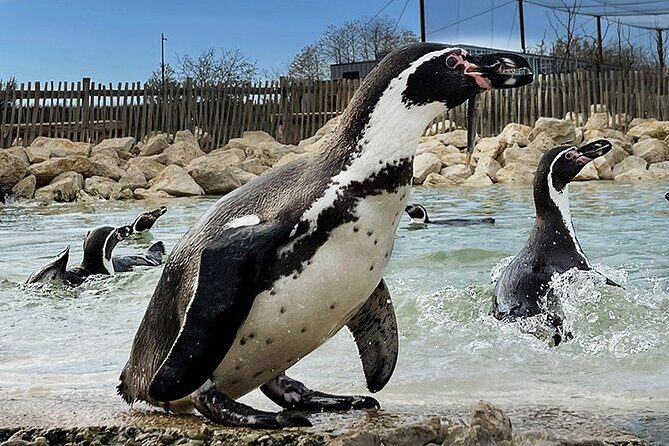 Parrot World Immersive Wildlife Park Entry Ticket next to Paris - The Sum Up