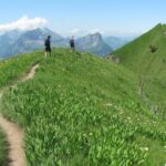 Peak to Peak Private Hiking Tour from Lucerne - The Value of the Experience