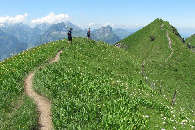 Peak to Peak Private Hiking Tour from Lucerne - The Value of the Experience