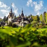 Peles & Cantacuzino Castles: Gourmet Wine & Cultural Day trip - What the Reviews Say