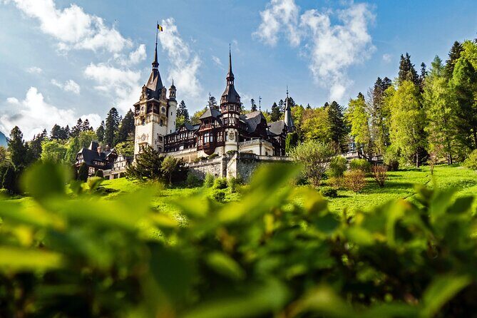 Peles & Cantacuzino Castles: Gourmet Wine & Cultural Day trip - What the Reviews Say