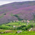 Peneda-Gerês Hiking & Sightseeing: Private Experience - Final Thoughts