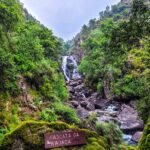 Peneda - Gerês National Park Lagoons and Waterfalls Tour - Who Will Love This Tour?