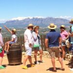Penedes and Cava Winery Small Group Tour - Who Is This Tour Best For?