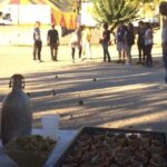 Petanque (boules) lesson in Provence - Who Is This Tour Best For?