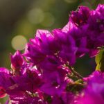 Photo Walking Tour in Sitges - What Makes This Tour Stand Out