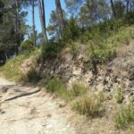 Photography route through the secret nature of Barcelona - What We Loved About the Tour