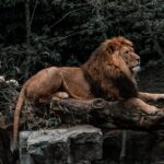 Photoshoot Experience in Amsterdam - The Locations and Why They Matter