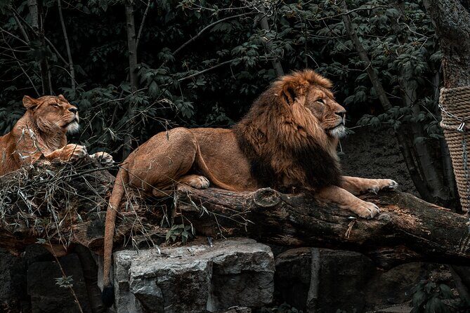 Photoshoot Experience in Amsterdam - The Locations and Why They Matter