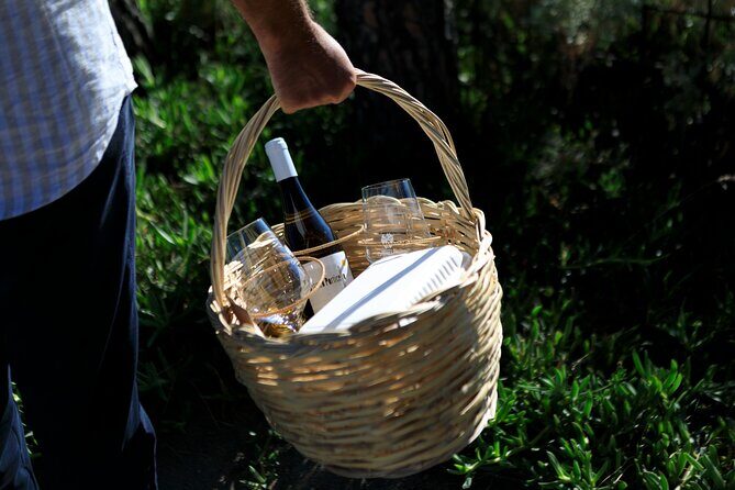 Pic-nic in the vineyard - Potential Downsides to Keep in Mind