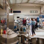 Picualia, visit the oil mill & EVOO tasting - Who Is This Tour For?