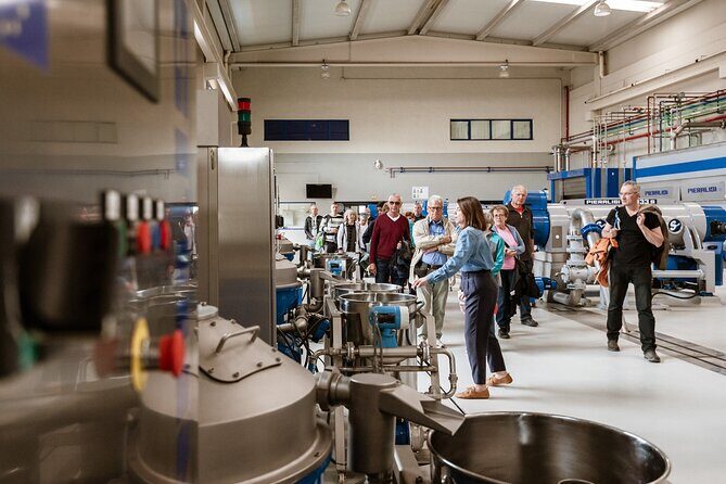 Picualia, visit the oil mill & EVOO tasting - Who Is This Tour For?