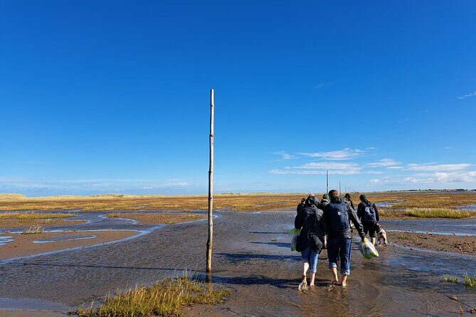 Pilgrims' Path walk across the sands to Holy Island - Value for Money
