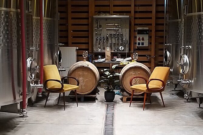 Pinot Noir & Pinot Wine Tour to Baden-Württemberg - The Experience Worth Its Price?