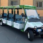 Pisa: Beyond the Tower (1h round-trip tour) - What It Feels Like to Experience the Tour