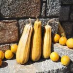 Plateau of Lassithi, Monastery of Kera and Ceramics - Honest Thoughts from Travelers