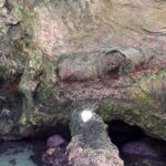 Polignano a Mare luxury boat tour, aperitif, diving and snorkeling - Practical Details and Considerations