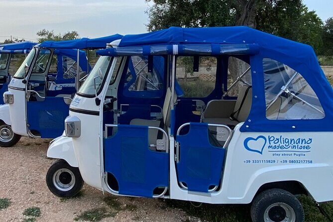 Polignano a Mare: Vintage Private Tour in TukTuk - Who Will Love This Tour?