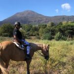 Pompeii Guided Tour & Horse Riding on Vesuvius with Lunch - Practical Details: What to Expect