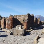 Pompeii Vesuvius Day Tour from Naples with Italian Lunch and Wine - What to Expect from the Tour