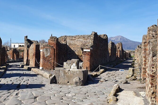Pompeii Vesuvius Day Tour from Naples with Italian Lunch and Wine - What to Expect from the Tour