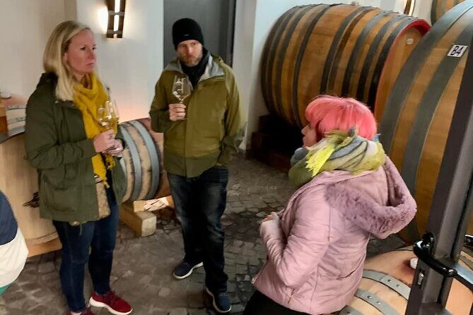 Pompeii Vesuvius Wine Farm Tour - What We Like and What to Consider